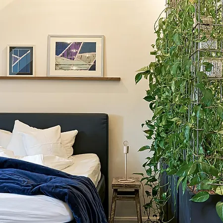 Boutique And Residences Heidelberg- Alte Zigarrenmanufaktur 5*
