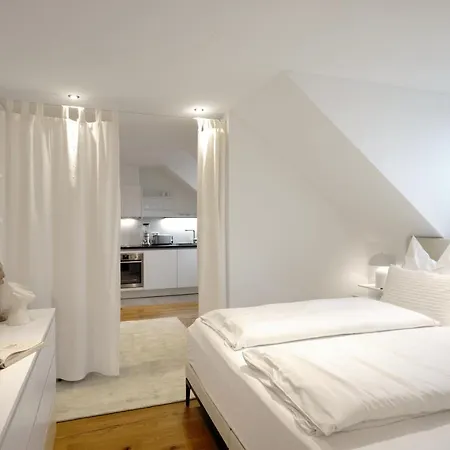 Szálloda Boutique And Residences Heidelberg- Alte Zigarrenmanufaktur 5*