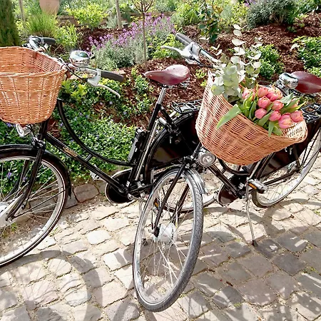 Alte Zigarrenmanufaktur Heidelberg - Private Residences with Bespoke Service 5*