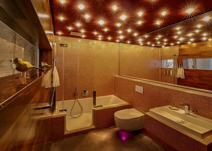 ホテル Boutique And Residences Heidelberg- Alte Zigarrenmanufaktur 5*