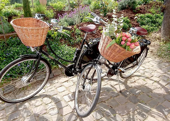 Boutique And Residences Heidelberg- Alte Zigarrenmanufaktur 5*