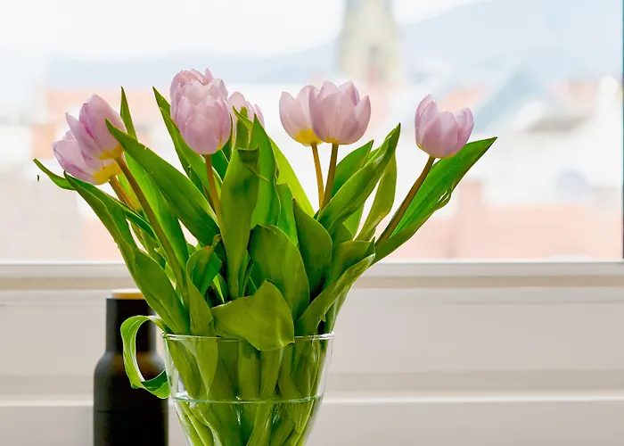 Hotel Boutique Suites And Residences Heidelberg- Alte Zigarrenmanufaktur Heidelberg