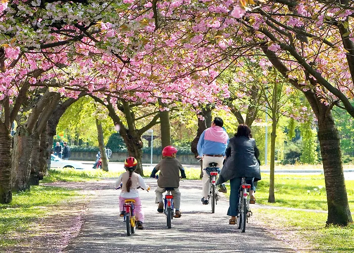 Boutique And Residences Heidelberg- Alte Zigarrenmanufaktur ホテル ハイデルベルク