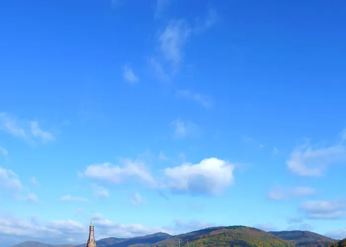 Boutique And Residences Heidelberg- Alte Zigarrenmanufaktur ホテル ハイデルベルク